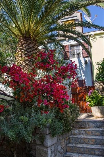 Apartment Julia Veli Losinj Ngoại thất bức ảnh